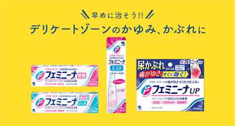 ちくびのかゆみ 市販薬|フェミニーナ｜軟膏｜ジェル｜ミスト｜製品情報｜小 